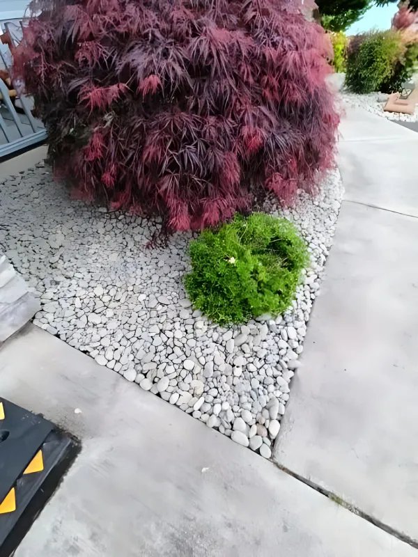 Dependable Landscaping Services