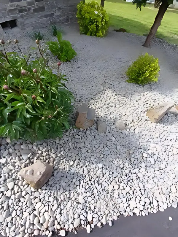 Professional Landscaper in Woodland, WA