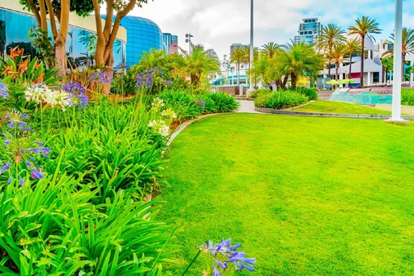 Expert Landscape Installation Woodland, WA Expert Landscape Installation Woodland, WA