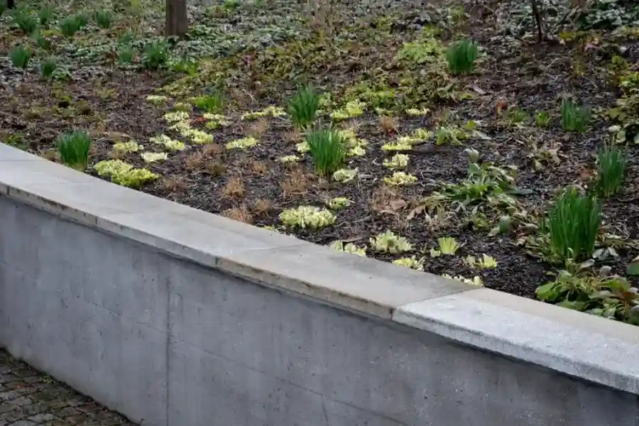 Quality Retaining Wall Installation Woodland, WA